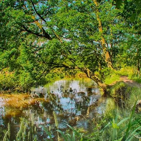 Guesthouse Valkenswaard ואלקנסווארד