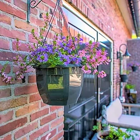 Guesthouse Valkenswaard