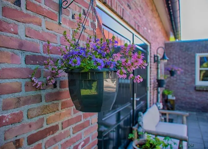 Guesthouse Valkenswaard Πανσιόν 3*