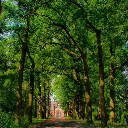 招待所 Guesthouse Valkenswaard 3*