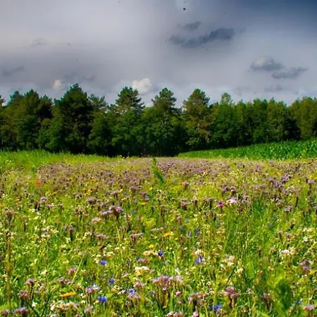 Pensjonat Guesthouse Valkenswaard 3*