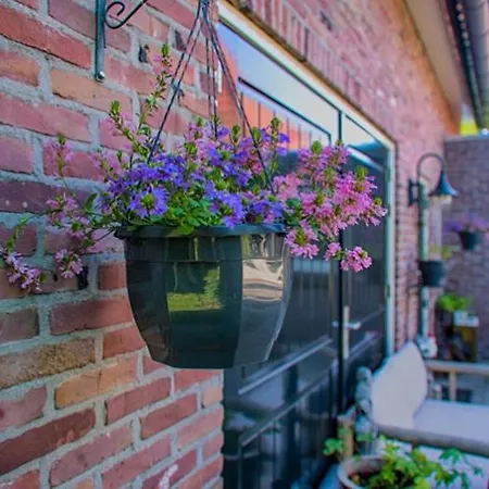 Guesthouse Valkenswaard 招待所 3*