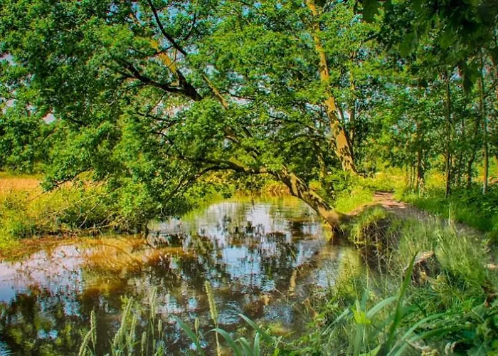 Guesthouse Valkenswaard 范肯斯沃德